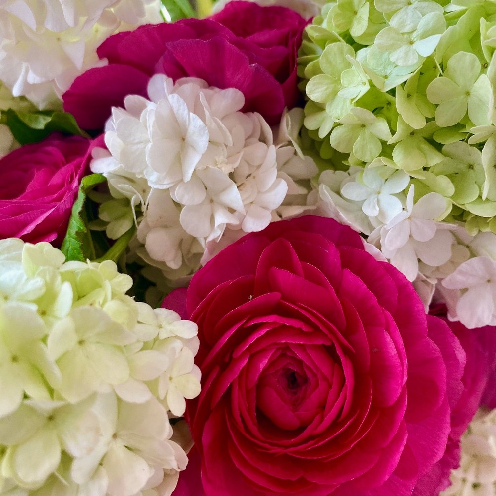 Meet your Posher, Shari